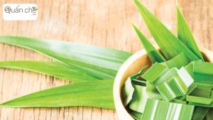 tam-quan-trong-cua-la-dua-trong-viec-tao-huong-thom-tu-nhien-cho-che